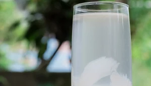 Pij schłodzoną lub dodaj do koktajlu. Woda kokosowa ma zaskakujący skład.