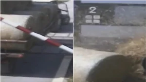 O krok od tragedii. Nietrzeźwy rolnik naraził 500 osób, jest wideo 