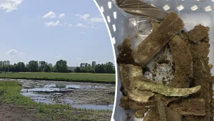 Skarb sprzed 3 tys. lat na czeskich bagnach. Wskazuje na pradawny rytuał