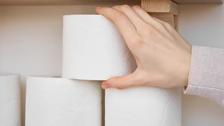 Papier toaletowy może okazać się pomocny w walce z komarami