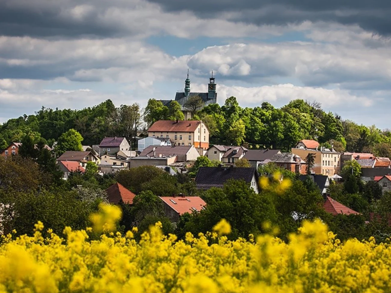 Góra Świętej Anny kryje w sobie historię wulkanu sprzed 27 milionów lat Góra Świętej Anny, kolorowe dachy domów, żółte pole rzepaku, kościół z dwiema wieżami pod pochmurnym niebem.