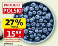 Borówki Polski