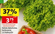 Sałata