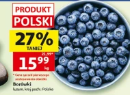 Borówki Polski