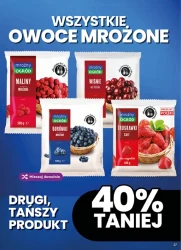 Nowe promocje na każdy dzień - Dino