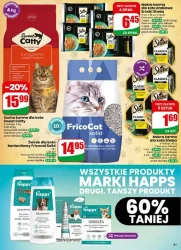 Nowe promocje na każdy dzień - Dino