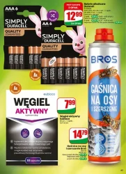Nowe promocje na każdy dzień - Dino
