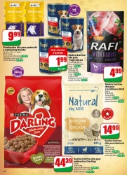 Nowe promocje na każdy dzień - Dino
