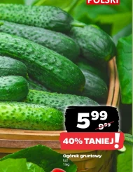 Ogórek
