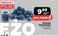 Borówka amerykańska Polski