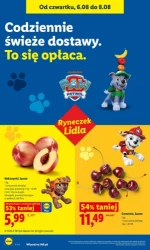 Promocyjne hity do koszyka - Lidl