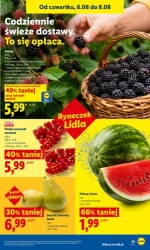 Promocyjne hity do koszyka - Lidl