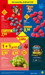 Promocyjne hity do koszyka - Lidl