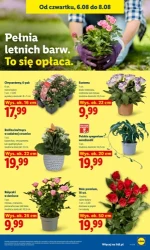 Promocyjne hity do koszyka - Lidl