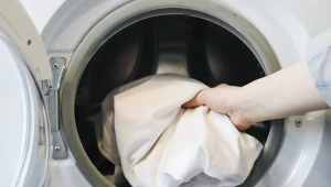 Jak skutecznie usunąć plamy z jagód i borówek?