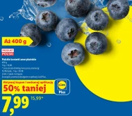 Чорниця Plus-Plus