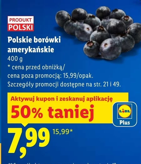 Чорниця Polski