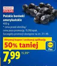 Чорниця Polski