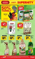 Bogactwo lady - POLOmarket