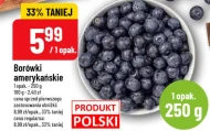 Borówki amerykańskie