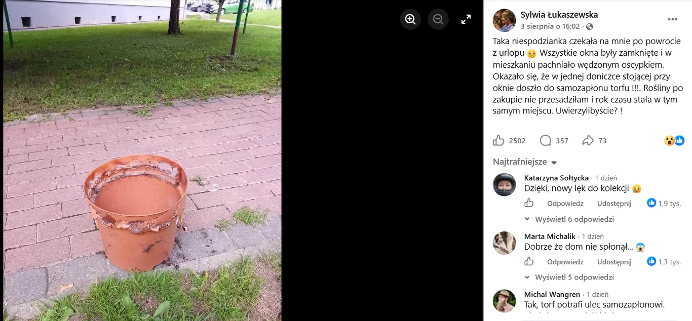 Zardzewiałe metalowe wiadro wypełnione wodą ustawione na chodniku obok trawnika.