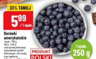 Borówki amerykańskie