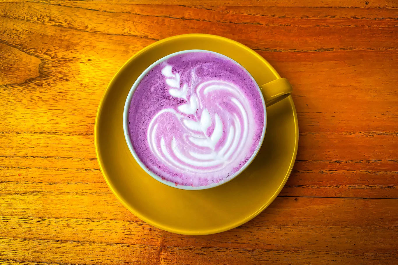 Koreanki piją to zamiast kawy. Kremowy napój syci, wspiera cerę i pomaga ograniczyć podjadanie Kubek kremowego goguma latte przygotowanego z pieczonych fioletowych batatów i mleka.