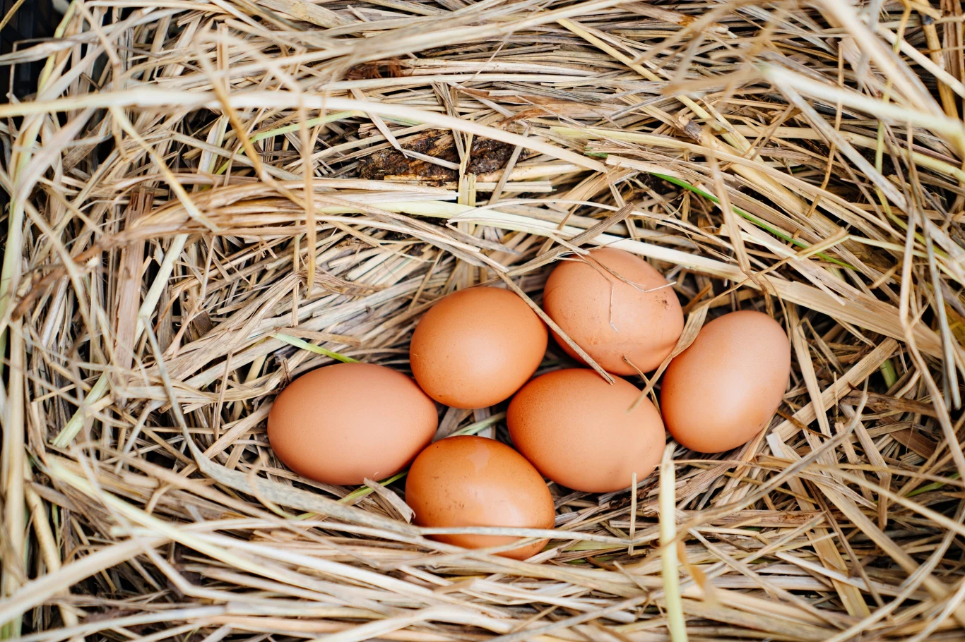 Micro-farming to więcej niż trend. Młodzi szukają równowagi między pracą a naturą Micro-farming to więcej niż trend. Młodzi szukają równowagi między pracą a naturą