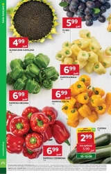 Wyjątkowa oferta pełna świeżości - Stokrotka