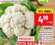 Kalafior Polski
