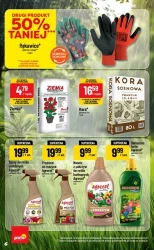 Inspirujący tydzień - POLOmarket