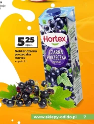 Czarna porzeczka Hortex