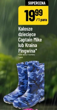 Веллінгтони Kraina pingwina