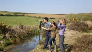 Pokolenie Z pokochało birdwatching. Smartfony zamieniają na lornetki