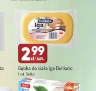 Gąbka Iga