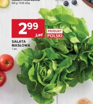 Sałata masłowa Polski