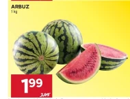 Arbuz