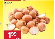 Cebula