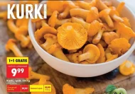 Kurki