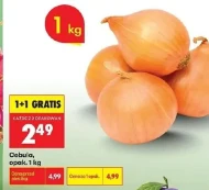 Cebula