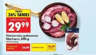 Ośmiornica Marinero