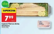 Łupacz Marinero