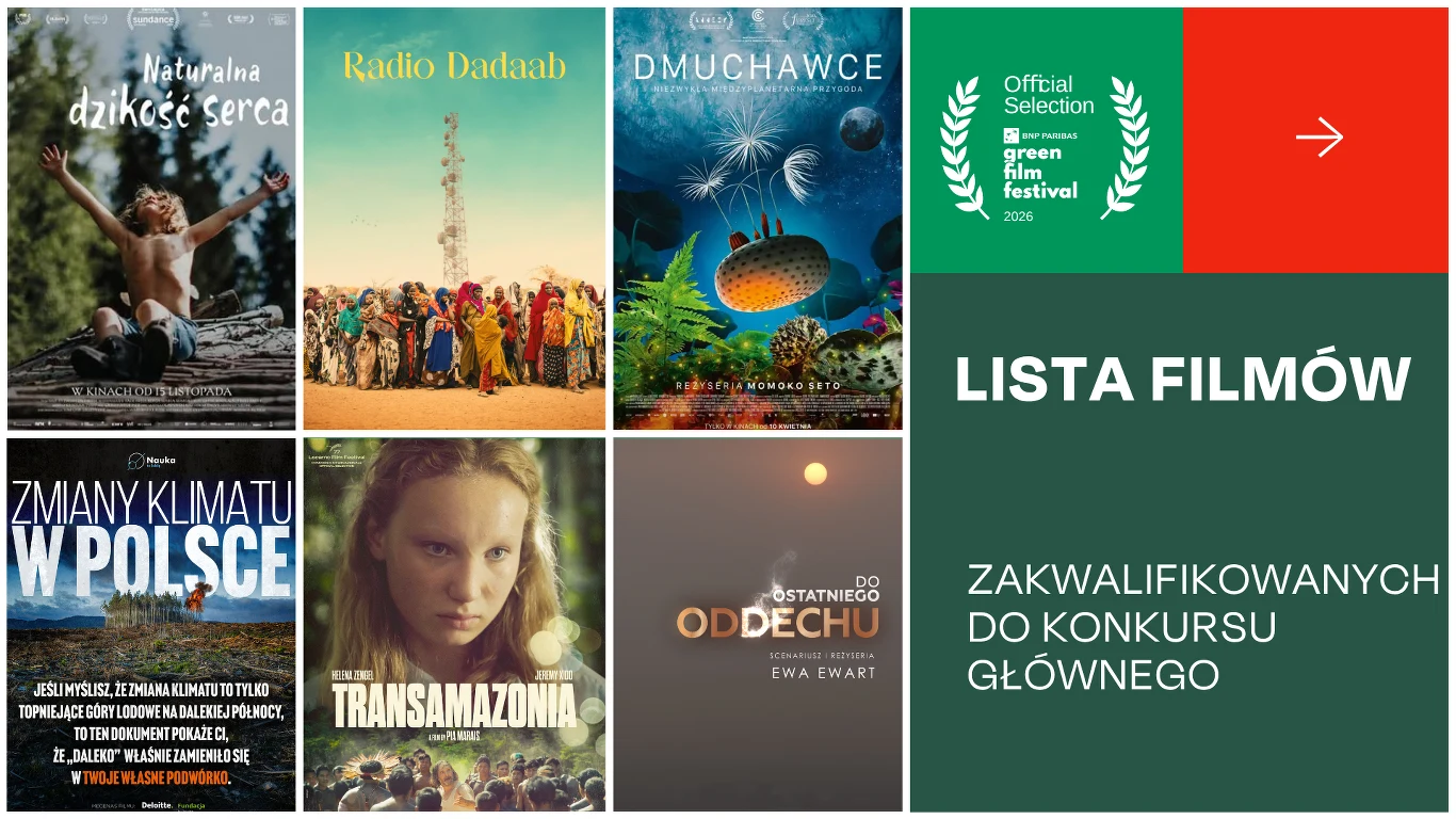 Sześć plakatów filmów dokumentalnych ustawionych w dwóch rzędach obok siebie, obok zielone prostokątne pole z napisem 'Lista filmów zakwalifikowanych do konkursu głównego' oraz logo festiwalu filmowego.