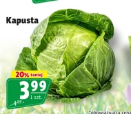 Kapusta