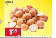 Cebula
