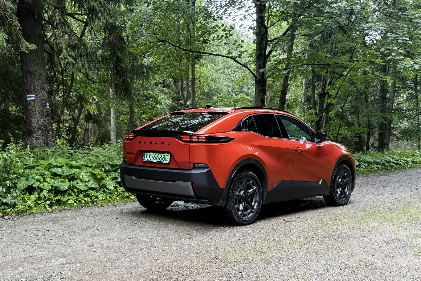 Opadająca linia dachu nadaje sylwetce dynamiczny charakter, ale ogranicza ilość miejsca z tyłu. Czerwony, nowoczesny samochód typu SUV ustawiony na szutrowej drodze w otoczeniu zielonego, gęstego lasu.