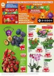 Mocny Start! - Kaufland