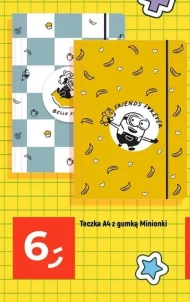 Teczka Friends