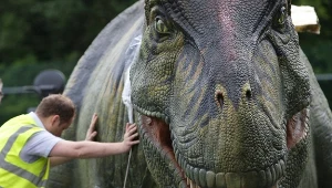 Dorosły tyranozaur mógł osiągać około 13 metrów długości
