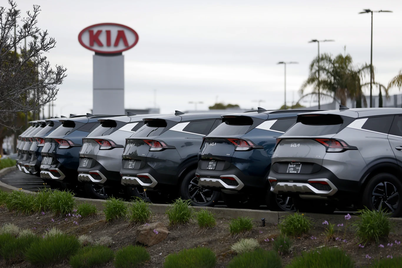 Serwis Kia w USA rozebrał SUV-a klientki podczas naprawy. Fot. ilustracyjna Nowe samochody Kia ustawione na placu salonu, widoczne tylne części aut i logo marki na budynku.